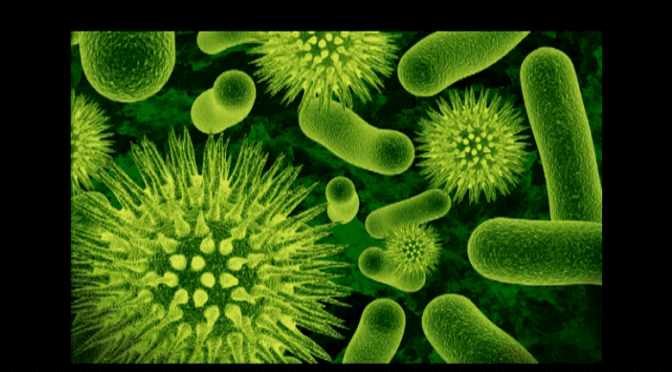 Biological warfare Man Made Viruses – Aajonus Vonderplanitz
