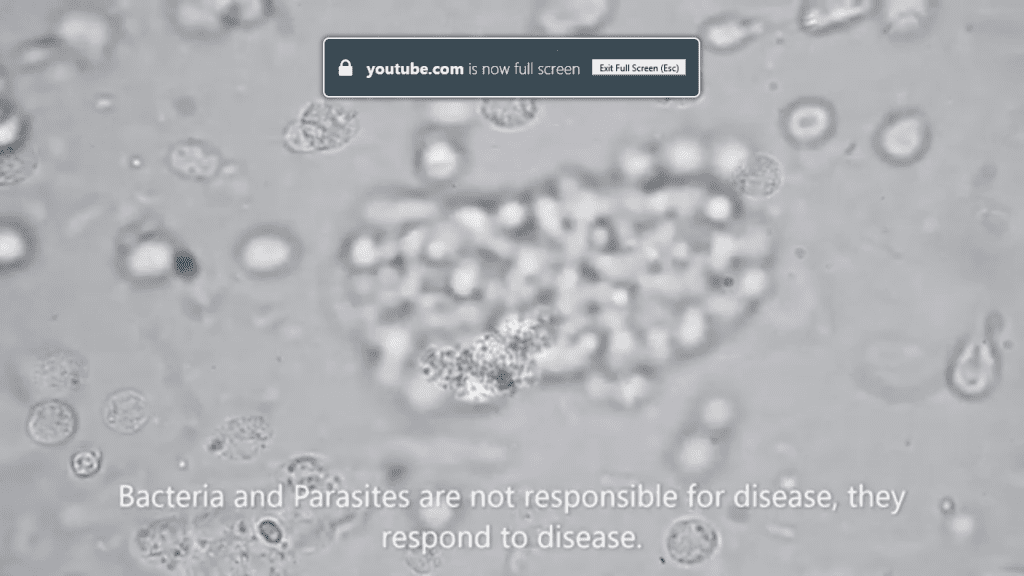 Bacteria and parasites are not responsible for disease