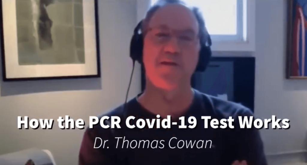 How the RT-PCR Covid-19 Test Works