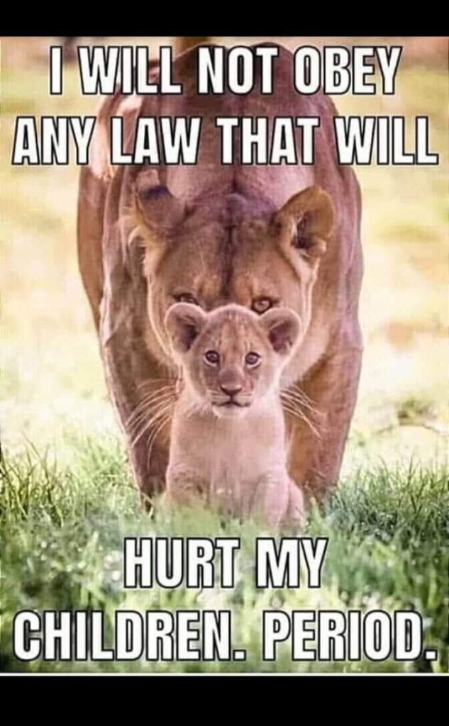 I will Not Obey Any Law That Will Hurt My Children. Period