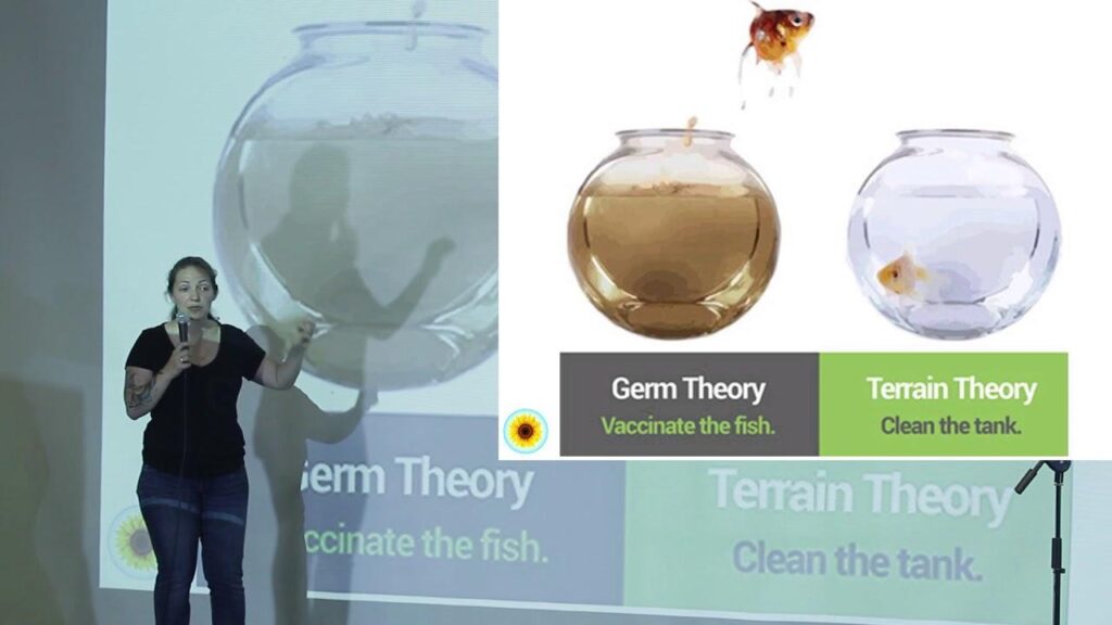 Germ theory Hoax Terrain theory