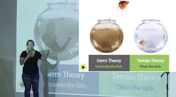 Germ theory Hoax Terrain theory
