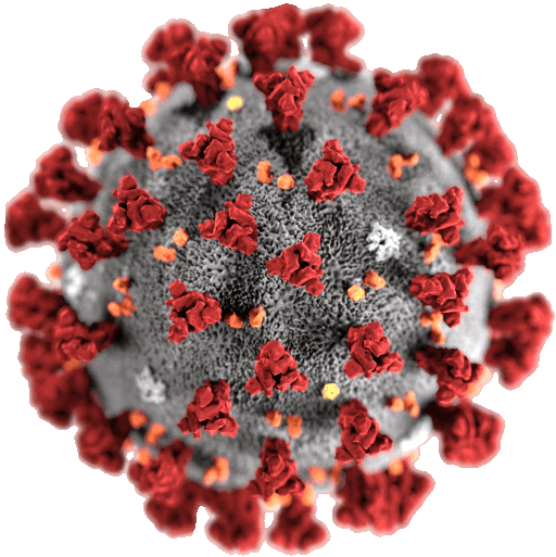 SARS-CoV-2, a “deadly virus” so small, you can’t even see it through an optical microscope