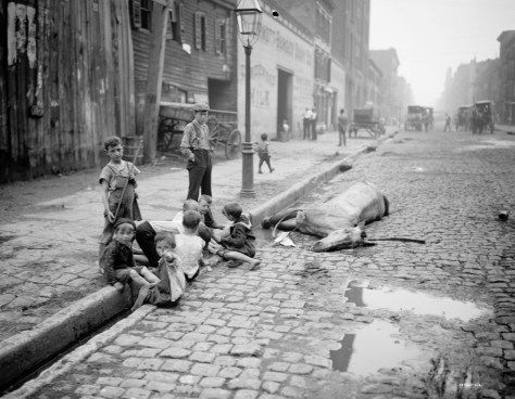 Rotting dead animals, horse manure and waste matter on the streets in the 19th century – No wonder people got sick